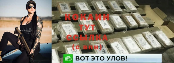 стафф Армянск