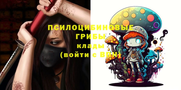 стафф Армянск
